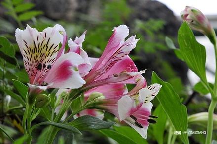 �������Ļ��ж����� ����������������ע���������