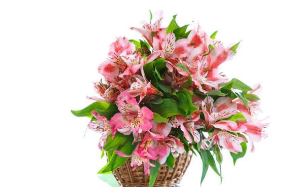 �������Ļ�����ʲô û�뵽���������󻹴��������Ԣ��