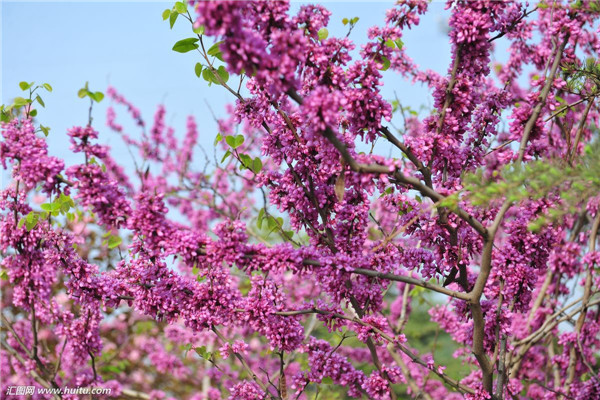 �Ͼ���ô���� Ҫ���Ͼ��ܹ���ȫԽ�����Ǳ�����ô��