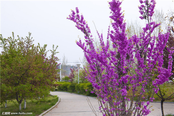 �Ͼ���ô���� Ҫ���Ͼ��ܹ���ȫԽ�����Ǳ�����ô��