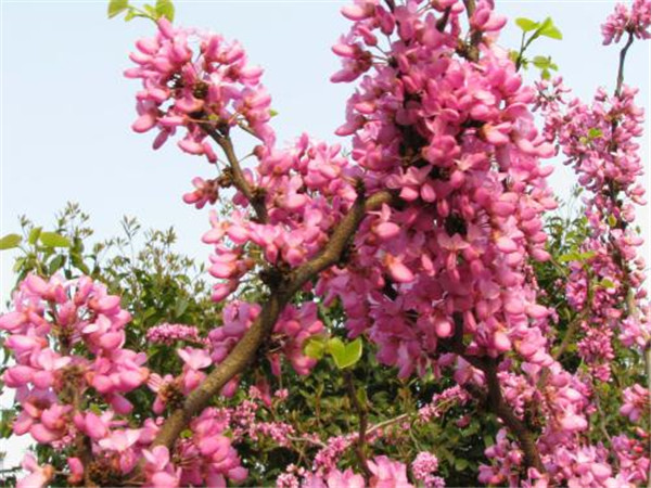 �Ͼ���ô���� Ҫ���Ͼ��ܹ���ȫԽ�����Ǳ�����ô��