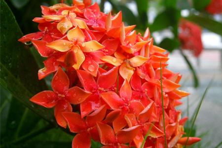 �ɵ�����ôǤ�己ֳ�������� ��ô���ɵ���Ǥ��ѧ������