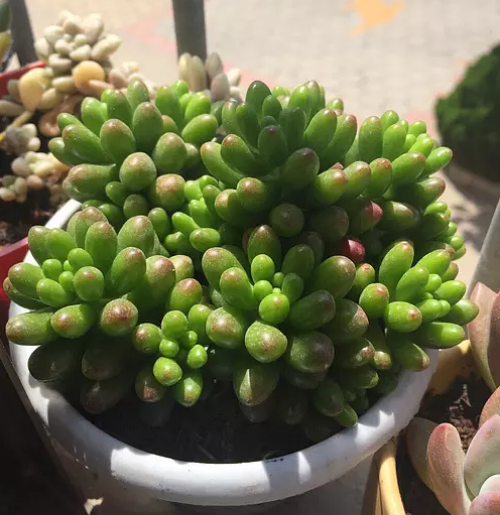 �����֮����ô���跽������  ��֮���������ܿ��ٱ���Ŷ