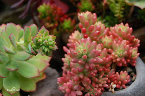 �����֮����ô���跽������  ��֮���������ܿ��ٱ���Ŷ