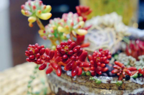 �����֮����ô���跽������  ��֮���������ܿ��ٱ���Ŷ