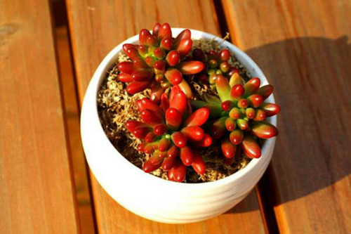 �����֮����ô���跽������  ��֮���������ܿ��ٱ���Ŷ