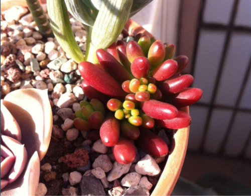 �����֮����ô���跽������  ��֮���������ܿ��ٱ���Ŷ