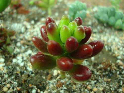 ��֮��ͺ�֮�������������Щ �´α����ϴ���Ŷ