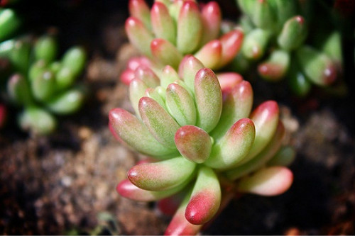 ��֮��ͺ�֮�������������Щ �´α����ϴ���Ŷ