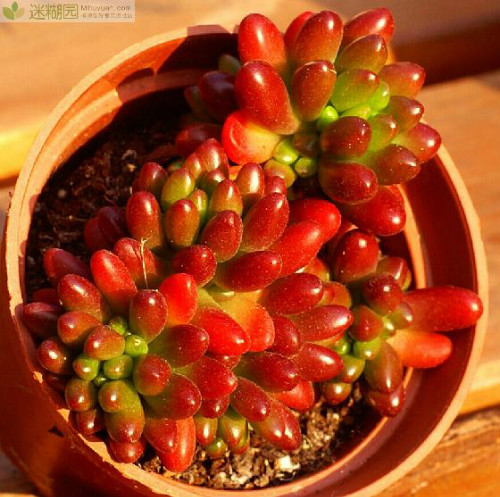 ��֮��ͺ�֮�������������Щ �´α����ϴ���Ŷ