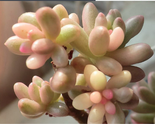 ��֮��ͺ�֮�������������Щ �´α����ϴ���Ŷ