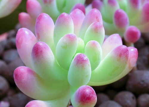 ��֮��ͺ�֮�������������Щ �´α����ϴ���Ŷ