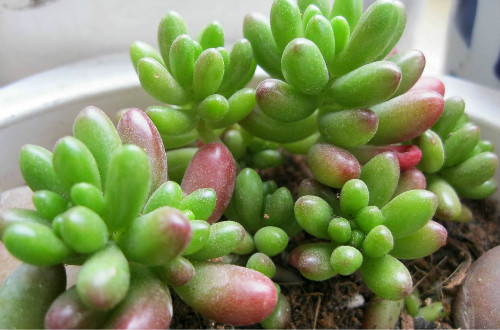 ��֮��ͺ�֮�������������Щ �´α����ϴ���Ŷ