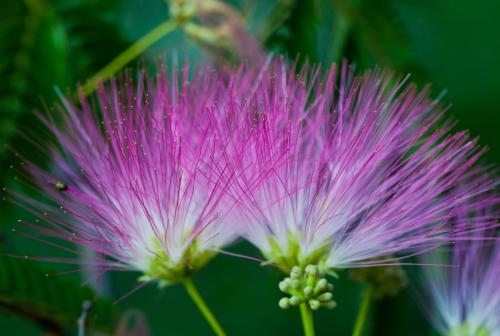 �ϻ��������ݲ���  �ϻ����ݲ軹���кܶ๦Ч��Ŷ