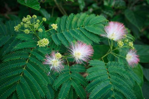 �ϻ��������ݲ���  �ϻ����ݲ軹���кܶ๦Ч��Ŷ