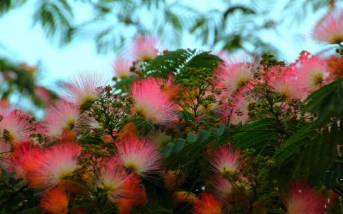 �ϻ��������ݲ���  �ϻ����ݲ軹���кܶ๦Ч��Ŷ