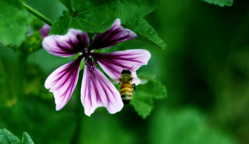 �������ô��ֳ ���������ķ�ֳ������Ҫ���⼸��