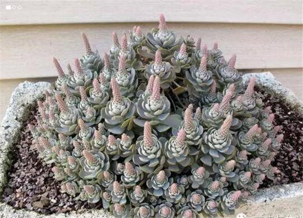 �ӳ������ļ���ô�� �ӳ������ļ�����������ע������