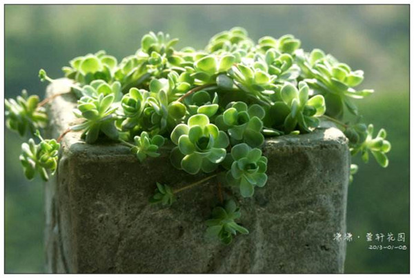 �ӳ������ļ���ô�� �ӳ������ļ�����������ע������