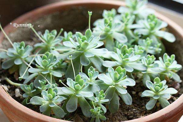 �ӳ������ļ���ô�� �ӳ������ļ�����������ע������