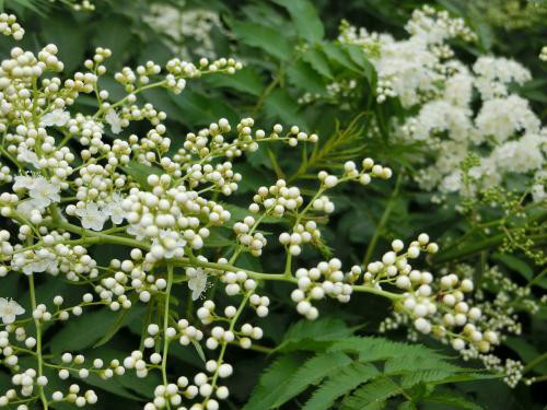 ����÷��ô�����ʺ�������ֳ�� ����÷���������ø���Ŷ