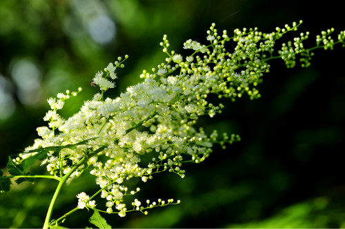 ����÷��ô�����ʺ�������ֳ�� ����÷���������ø���Ŷ