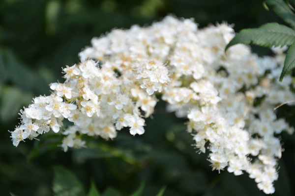 ����÷��ô�����ʺ�������ֳ�� ����÷���������ø���Ŷ