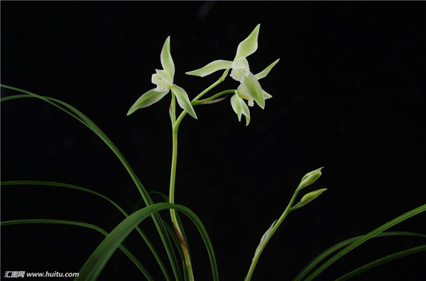 ī������������ ī������ֳ������ע��������ܿ�����