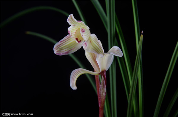 ī������������ ī������ֳ������ע��������ܿ�����