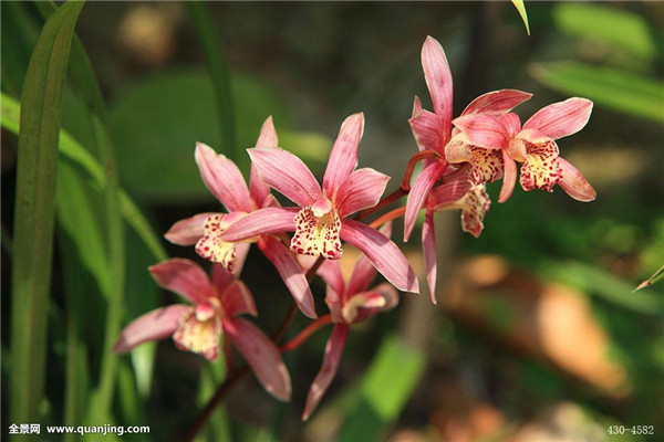 ī������������ ī������ֳ������ע��������ܿ�����