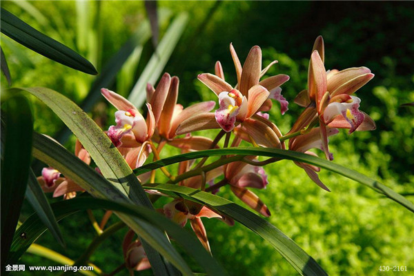 ī������������ ī������ֳ������ע��������ܿ�����