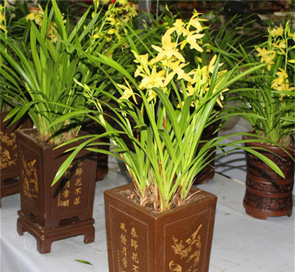 ī������������ ī������ֳ������ע��������ܿ�����