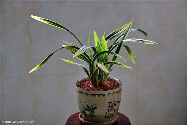 ī��������ô�� ī���ڶ�����Ҫ���������Ų�����Ŷ