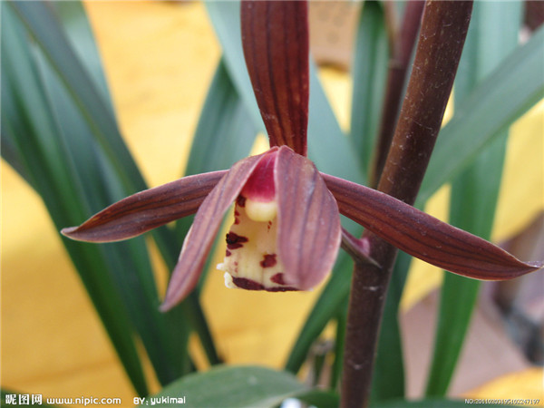 ī��������ô�� ī���ڶ�����Ҫ���������Ų�����Ŷ