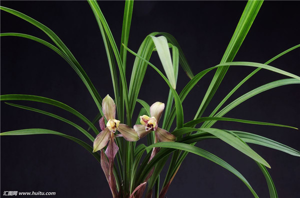 ī����ô���� �̴������ȷ��ī�����跽��С����