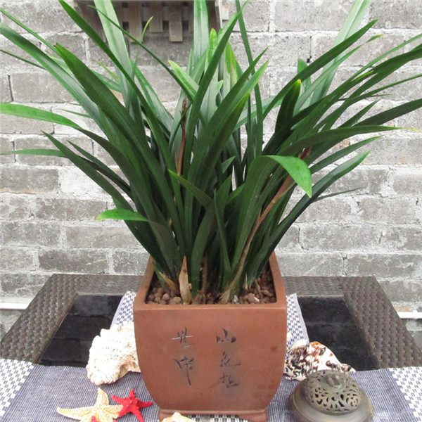 ī����ô���� �̴������ȷ��ī�����跽��С����