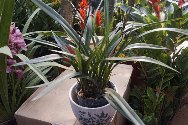 ī����ô���� �̴������ȷ��ī�����跽��С����