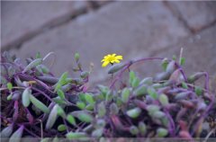 �����¿���ˮ���� ����������ȷ����ֳ������������Ŷ