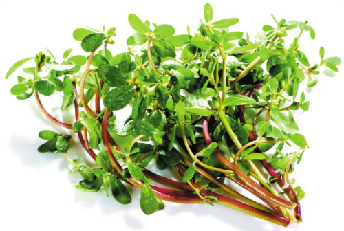 �����ȹ�Ч����������Щ����3����ǧ��Ҫ��������