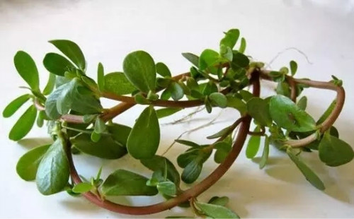 �����ȹ�Ч����������Щ����3����ǧ��Ҫ��������