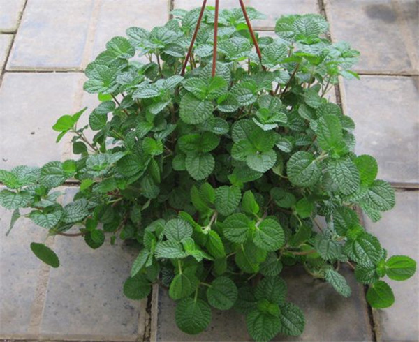 �����ݿ���ˮ���� �����������ݽ���ˮ�����ѧ