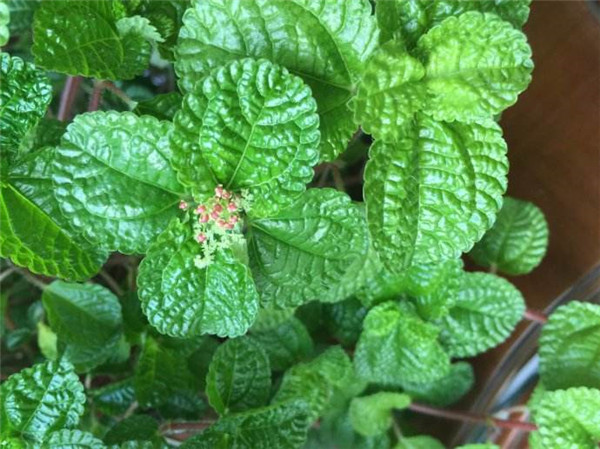 �����ݿ���ˮ���� �����������ݽ���ˮ�����ѧ