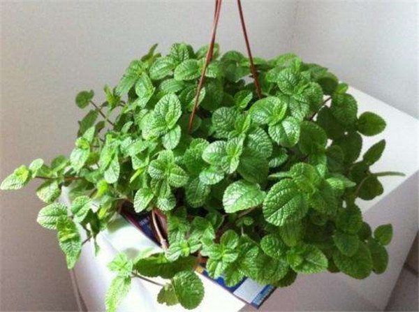 �����ݿ���ˮ���� �����������ݽ���ˮ�����ѧ