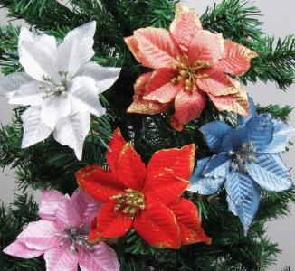 圣诞花是什么花 圣诞花名字竟然是这么由来的