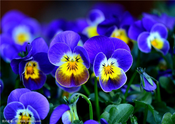 ����������ˮ���� ˮ���������ķ�����ע�����������Ŷ