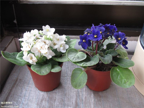 ����������ˮ���� ˮ���������ķ�����ע�����������Ŷ