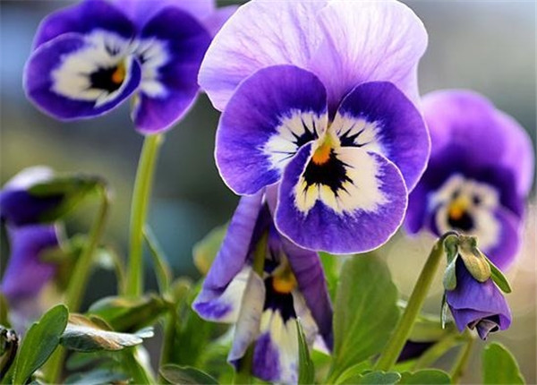 ����������ˮ���� ˮ���������ķ�����ע�����������Ŷ