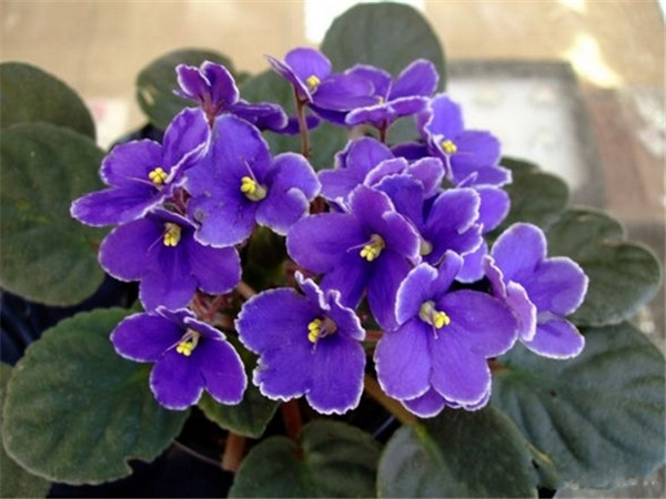 ����������ˮ���� ˮ���������ķ�����ע�����������Ŷ