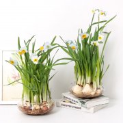 ˮ��ˮ�ɻ��Ĵ�������  ˮ�ɻ�ˮ��������Ҫע����Щ����