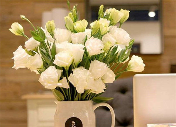 洋桔梗叶子发黄怎么办 洋桔梗叶黄这样做就可以轻松解决哦